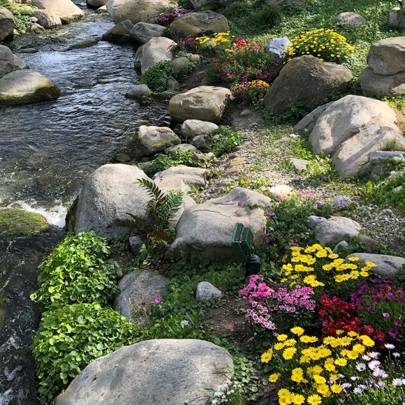 👋👋👋 - Picture 1 of 1